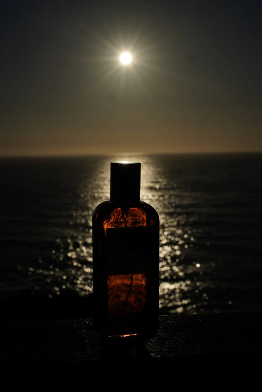 Interieurspray LOLA JAMES HARPER - The Surf Shop in San Diego