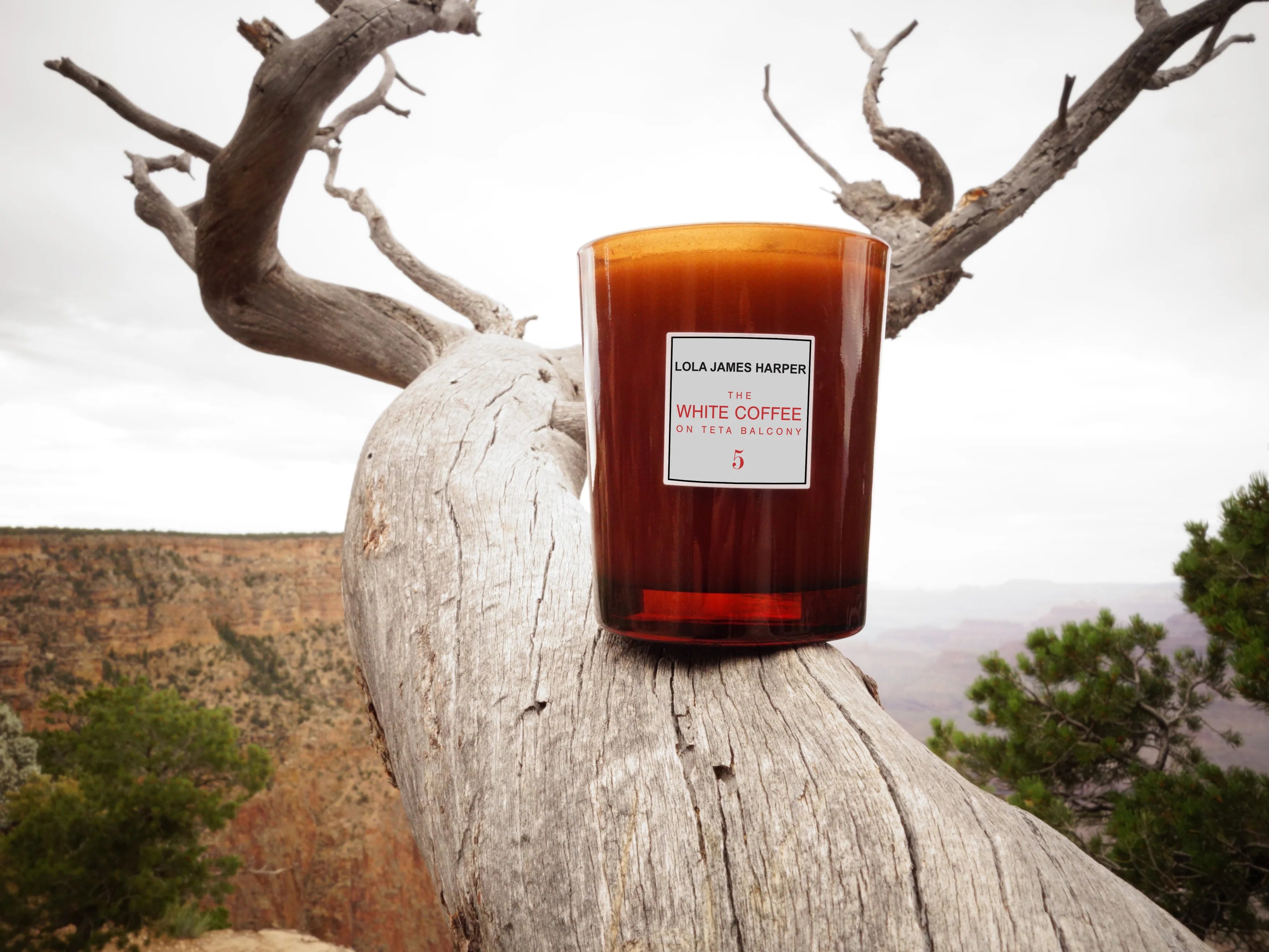 Geurkaars LOLA JAMES HARPER - The White Coffee on Teta Balcony