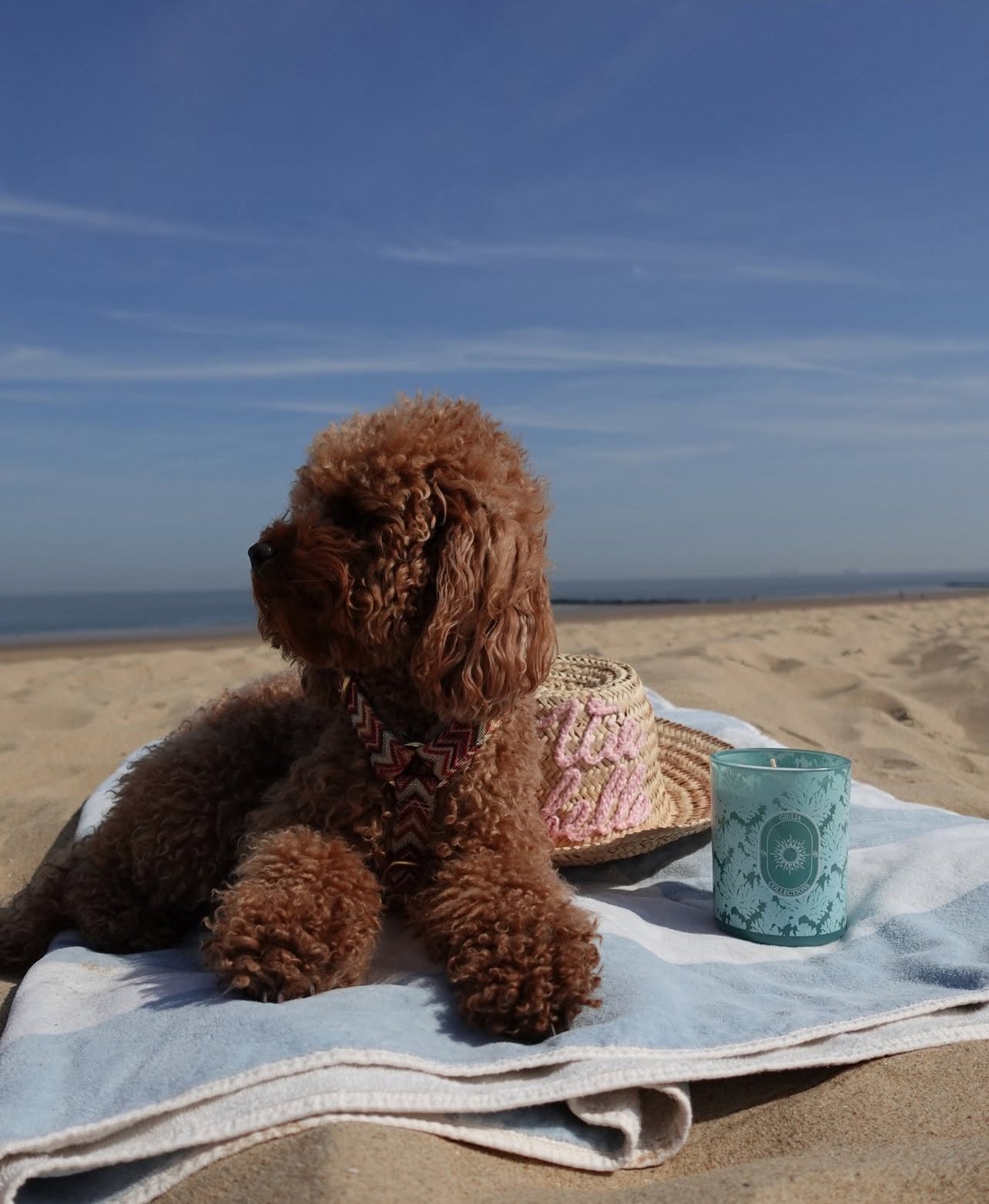 Geurkaars GIULIA – Marbella | Musky