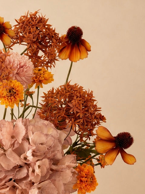 Amber Blush