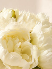 Zijden pioenrozen boeket in zacht crème en wit met volle bloemen op lichte achtergrond