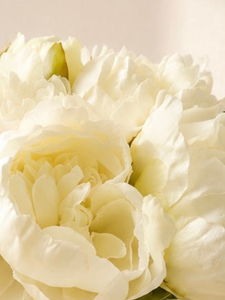 Zijden pioenrozen boeket in zacht crème en wit met volle bloemen op lichte achtergrond