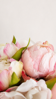 Zijden pioenrozen detail in zacht roze en wit met natuurlijke textuur